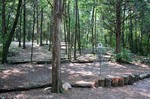 A frisbee golf hole in the woods. This one is at the Seven Oaks Disc Golf Course in Nashville, Tennessee.